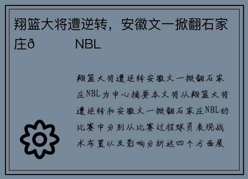 翔篮大将遭逆转，安徽文一掀翻石家庄🏀NBL