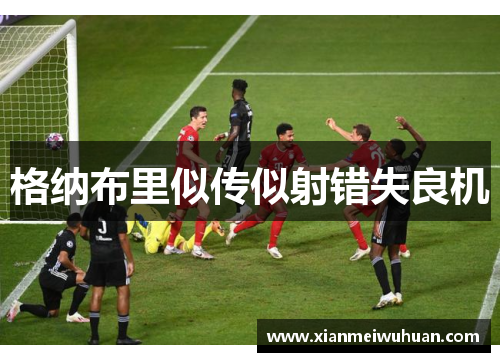 格纳布里似传似射错失良机